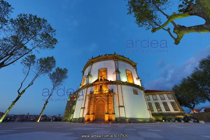 : The Monastery of Serra do Pilar, Porto, Portugal : The Monastery of Serra do Pilar, Porto, Portugal