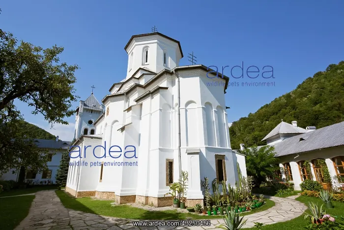 : Monastery of Tismana, Wallachia. Romania : Monastery of Tismana, Wallachia. Romania