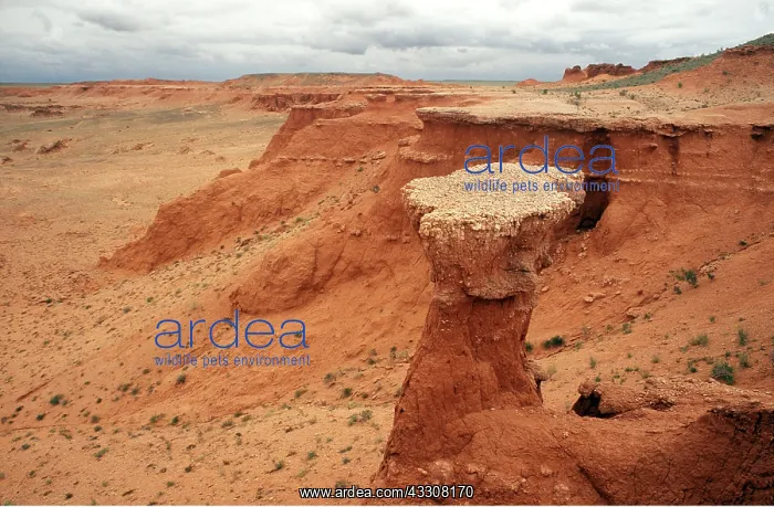 : MONGOLIA - Bayan Dzag / Flaming Cliffs : MONGOLIA - Bayan Dzag / Flaming Cliffs