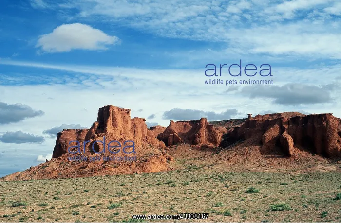 : MONGOLIA - Bayan Dzag / Flaming Cliffs, Cretaceous : MONGOLIA - Bayan Dzag / Flaming Cliffs, Cretaceous