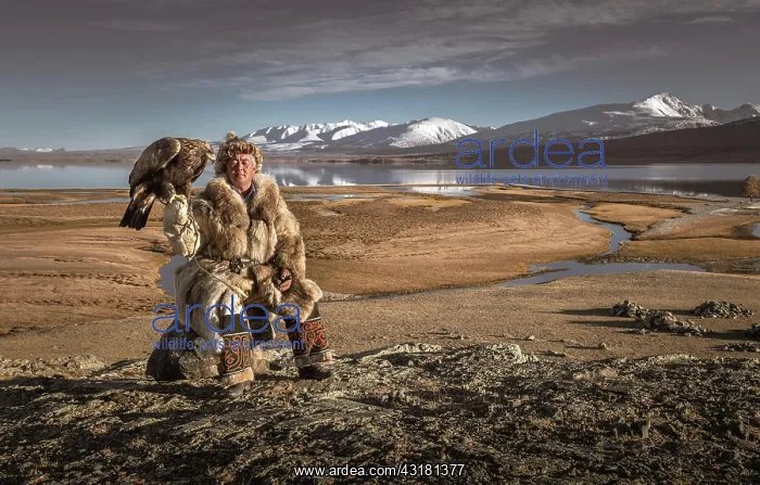 : Mongolian eagle hunter posted with lake in front : Mongolian eagle hunter posted with lake in front