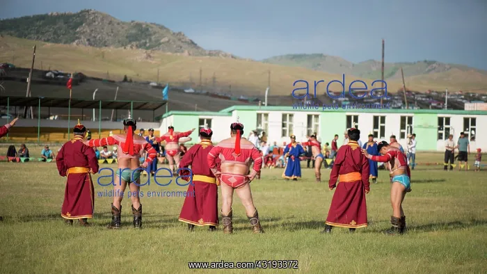 : Mongolian wrestling, Eagle Dance - Naadam Festival : Mongolian wrestling, Eagle Dance - Naadam Festival