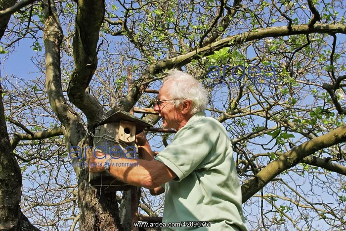 : Monitoring of a birdhouse in a garden : Monitoring of a birdhouse in a garden