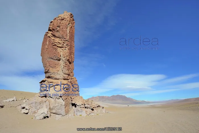 : Monjes de la Pacana, Altiplano, Paso de Jama, Antofagasta : Monjes de la Pacana, Altiplano, Paso de Jama, Antofagasta