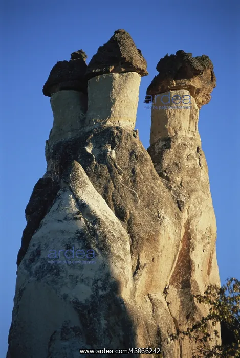 : Three Monks, Cappadocia : Three Monks, Cappadocia