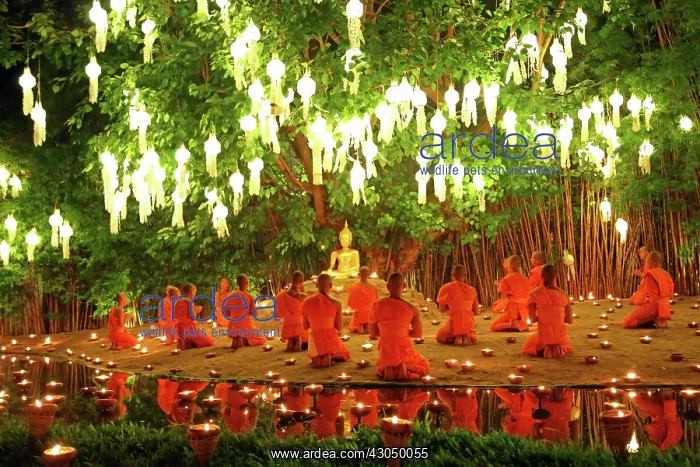 : Monks celebrate the Loy Krathong festival at Wat Phan Ta : Monks celebrate the Loy Krathong festival at Wat Phan Ta