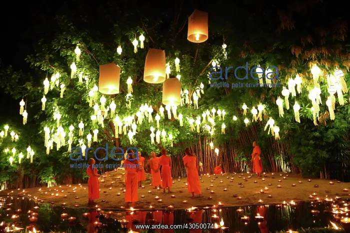 : Monks celebrate the Loy Krathong festival at Wat Phan Ta : Monks celebrate the Loy Krathong festival at Wat Phan Ta
