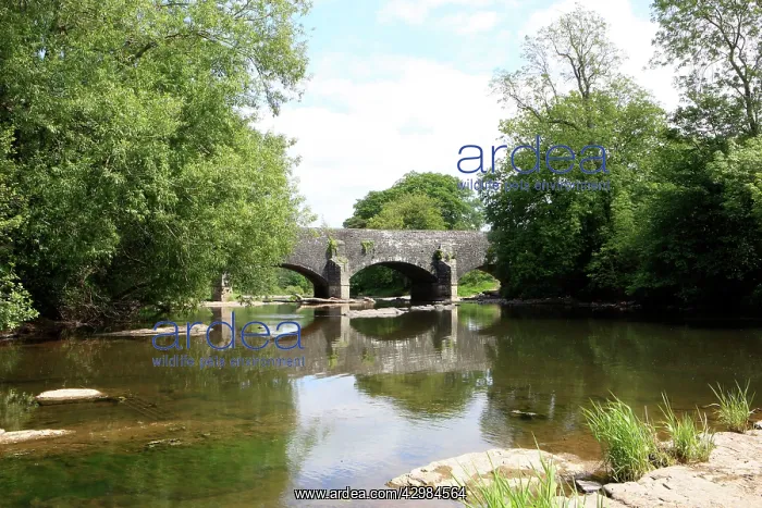 : Monmouth and Brecon Canal on the Brynich Aqueduct : Monmouth and Brecon Canal on the Brynich Aqueduct