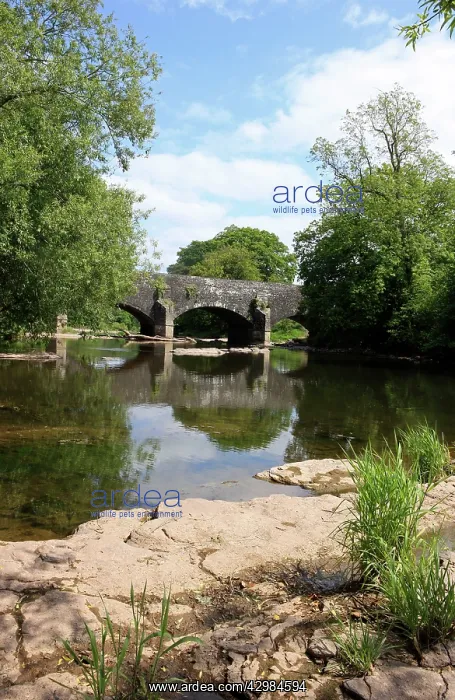 : Monmouth and Brecon Canal on the Brynich Aqueduct : Monmouth and Brecon Canal on the Brynich Aqueduct