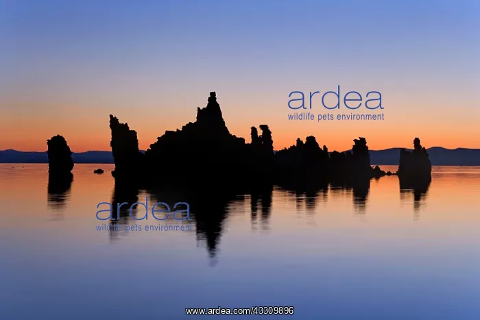 : Mono Lake - bizarre tufa formations reflecting in : Mono Lake - bizarre tufa formations reflecting in