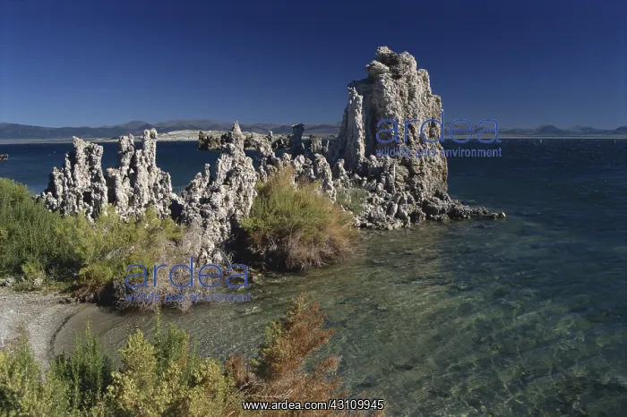 : Mono Lake, California : Mono Lake, California