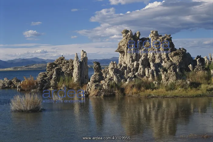 : Mono Lake, California : Mono Lake, California