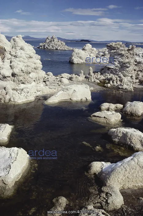 : Mono Lake, California : Mono Lake, California