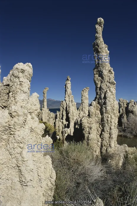 : Mono Lake, California : Mono Lake, California