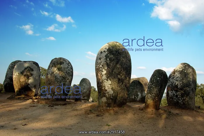 : Monoliths Cromlech of Almendres - Megalithic stone : Monoliths Cromlech of Almendres - Megalithic stone