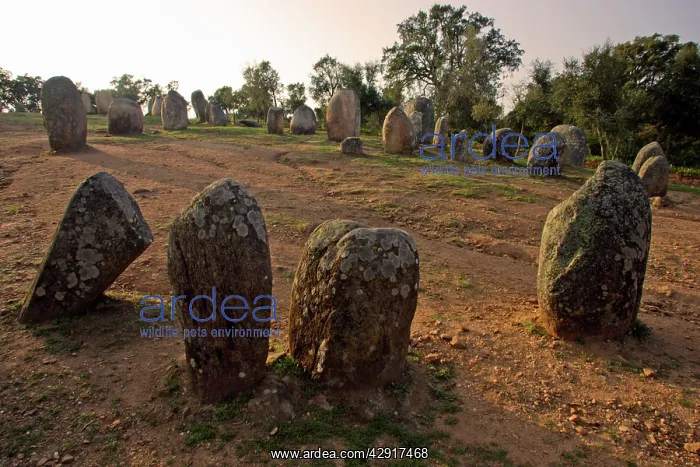 : Monoliths Cromlech of Almendres - Megalithic stone : Monoliths Cromlech of Almendres - Megalithic stone