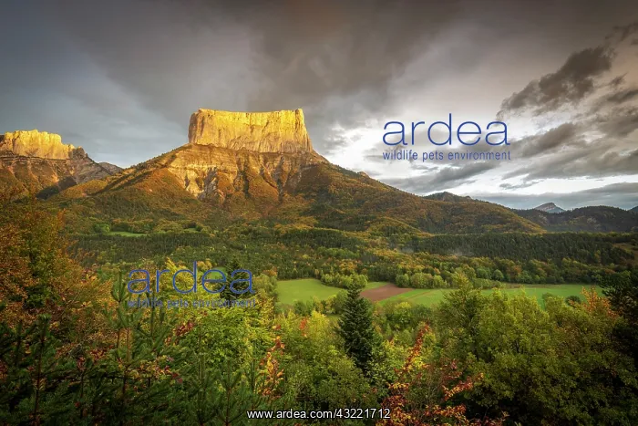 : Mont Aiguille (2086m), on the left in the background : Mont Aiguille (2086m), on the left in the background