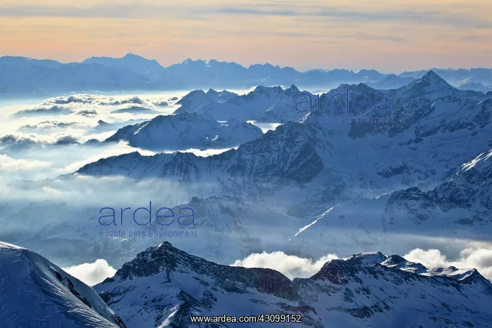 : Mont-Blanc, 4810 m, highest mountain of Europe : Mont-Blanc, 4810 m, highest mountain of Europe
