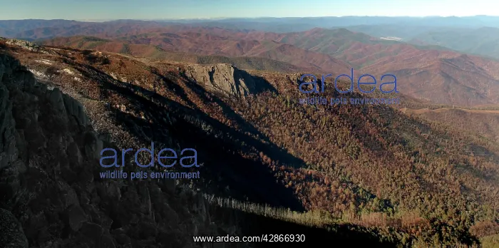 : Mont Buffalo National Park - View from the Horn : Mont Buffalo National Park - View from the Horn