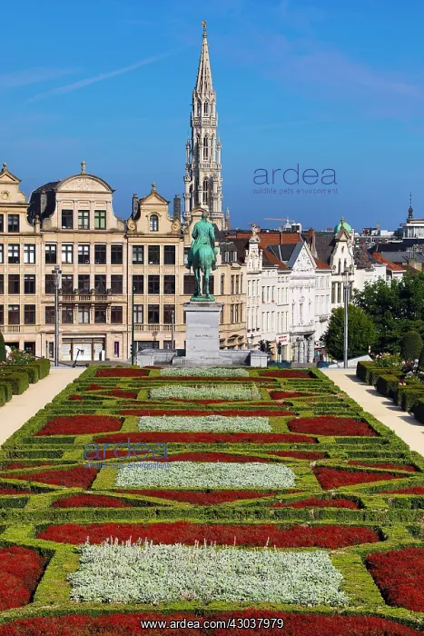 : Mont des Arts Gardens and Tower of the Town Hall : Mont des Arts Gardens and Tower of the Town Hall