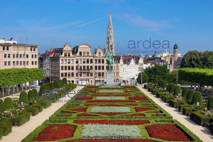 : Mont des Arts Gardens and Tower of the Town Hall : Mont des Arts Gardens and Tower of the Town Hall