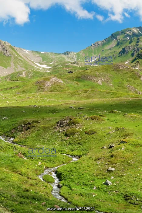 : Mont Fallere, Aosta Valley, Italian Alps : Mont Fallere, Aosta Valley, Italian Alps