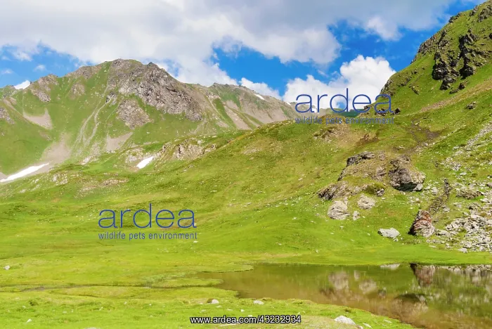 : Mont Fallere, Aosta Valley, Italian Alps : Mont Fallere, Aosta Valley, Italian Alps