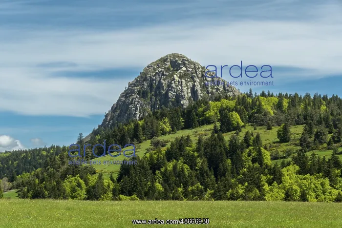 : Mont Gerbier-de-Jonc, Source of the Loire River in the Monts : Mont Gerbier-de-Jonc, Source of the Loire River in the Monts