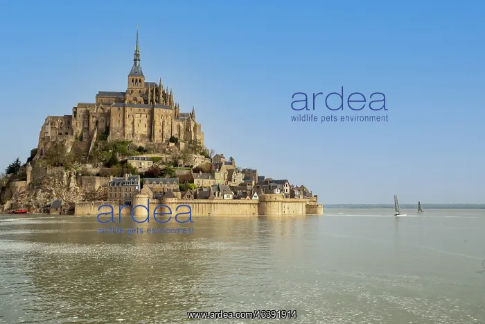 : MONT SAINT MICHEL : MONT SAINT MICHEL