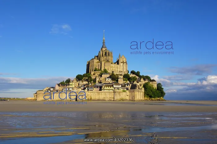 : Mont-Saint-Michel, Benedictine abbey, Normandy : Mont-Saint-Michel, Benedictine abbey, Normandy