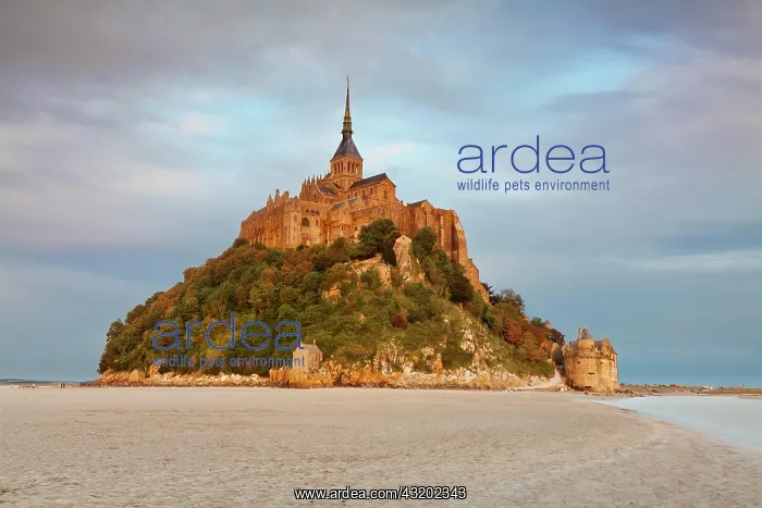 : Mont Saint-Michel, Le Mont-Saint-Michel, Normandie : Mont Saint-Michel, Le Mont-Saint-Michel, Normandie