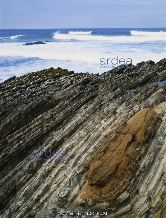 : Montana de Oro State Park : Montana de Oro State Park