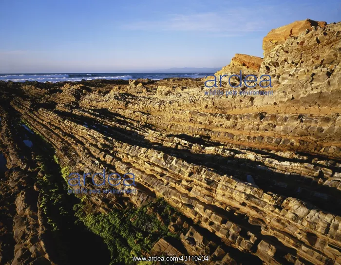 : Montana de Oro State Park : Montana de Oro State Park