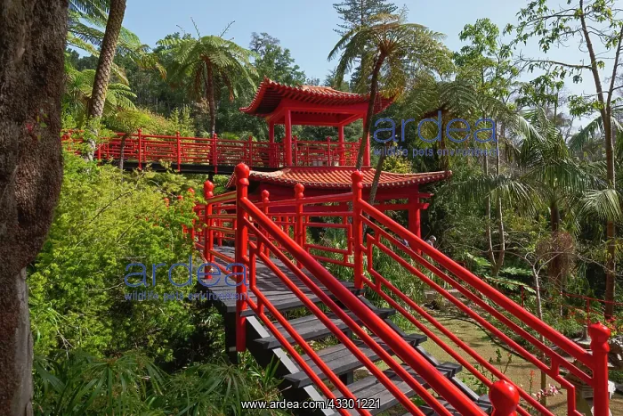  : Monte Palace Tropical Garden Japanese garden - Madeira