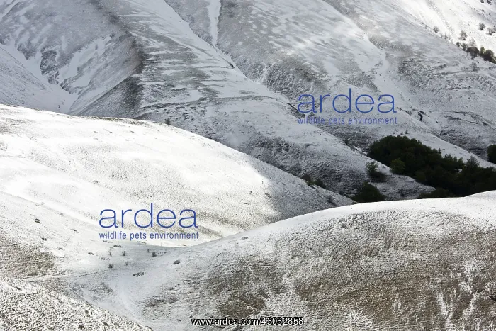 : Monte Vettore snowy slopes Monti Sibillini National : Monte Vettore snowy slopes Monti Sibillini National
