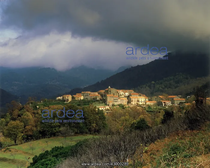: Montemaggiore : Montemaggiore