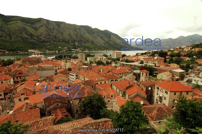 : Montenegro, Kotor, houses by Adriatic sea : Montenegro, Kotor, houses by Adriatic sea