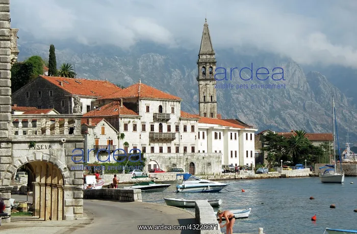 : Montenegro, Perast. View of the city : Montenegro, Perast. View of the city