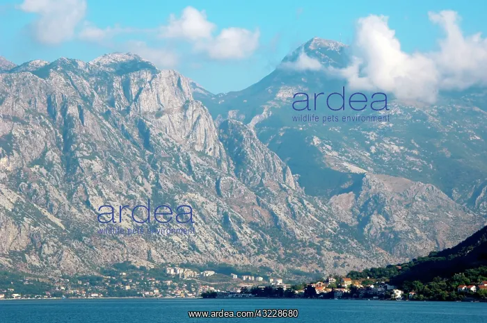 : Montenegro, Perast. Views of the fjord : Montenegro, Perast. Views of the fjord