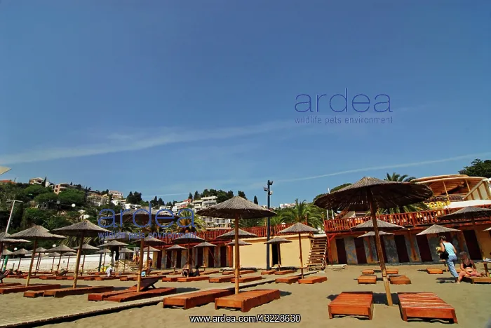 : Montenegro, Ulcinj, view of canopy at beach : Montenegro, Ulcinj, view of canopy at beach