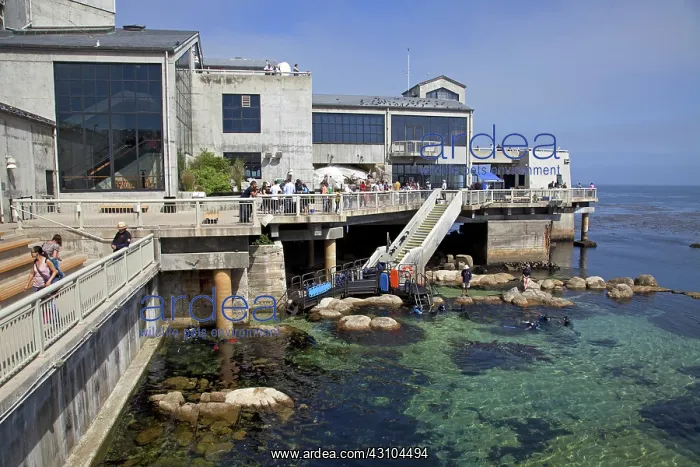 : Monterey Bay Aquarium : Monterey Bay Aquarium