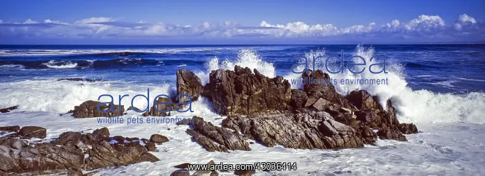 : Monterey Bay, Pacific Ocean - view from 17-mile : Monterey Bay, Pacific Ocean - view from 17-mile