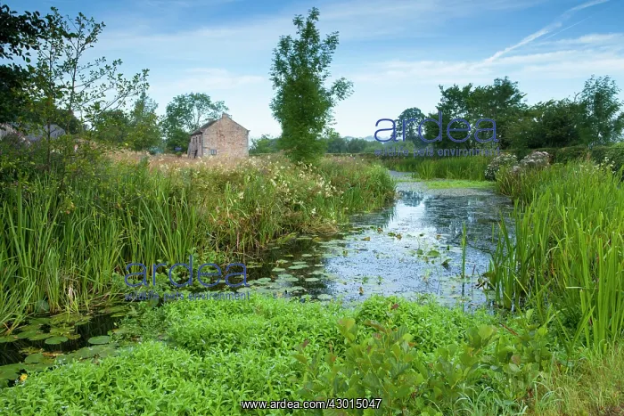  : Montgomery Canal Summer
