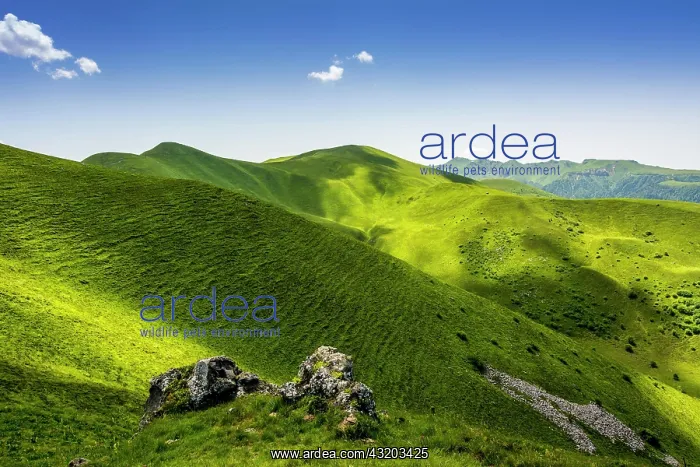 : Monts Dore, Sancy mountain, Auvergne volcanoes natural : Monts Dore, Sancy mountain, Auvergne volcanoes natural