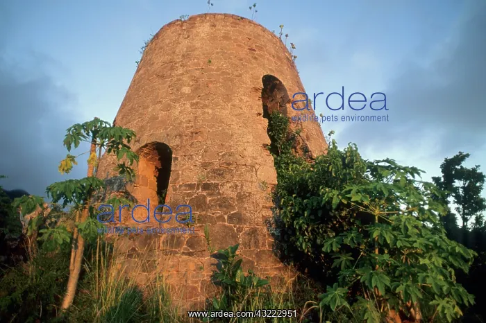 : Montserrat, Galway's Plantation : Montserrat, Galway's Plantation