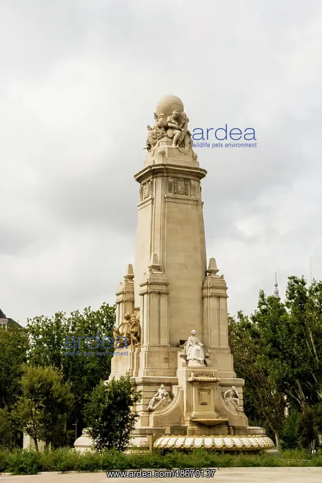 : Monument to Miguel de Cervantes in Parque de la Montana : Monument to Miguel de Cervantes in Parque de la Montana