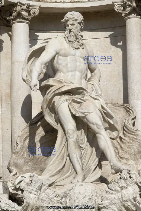 : Monument - Trevi Fountain : Monument - Trevi Fountain
