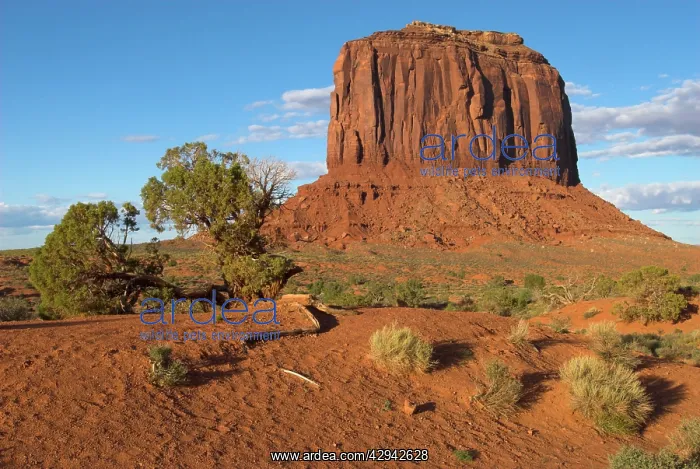  : Monument Valley