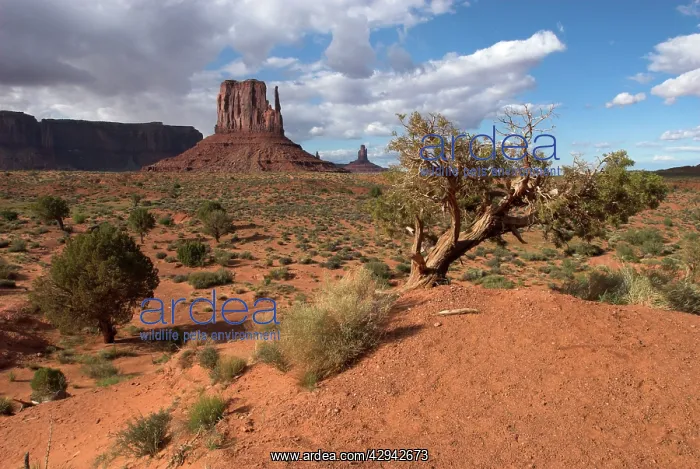 : Monument Valley