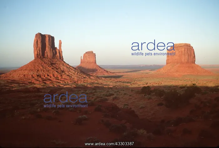 : Monument Valley - Buttes : Monument Valley - Buttes
